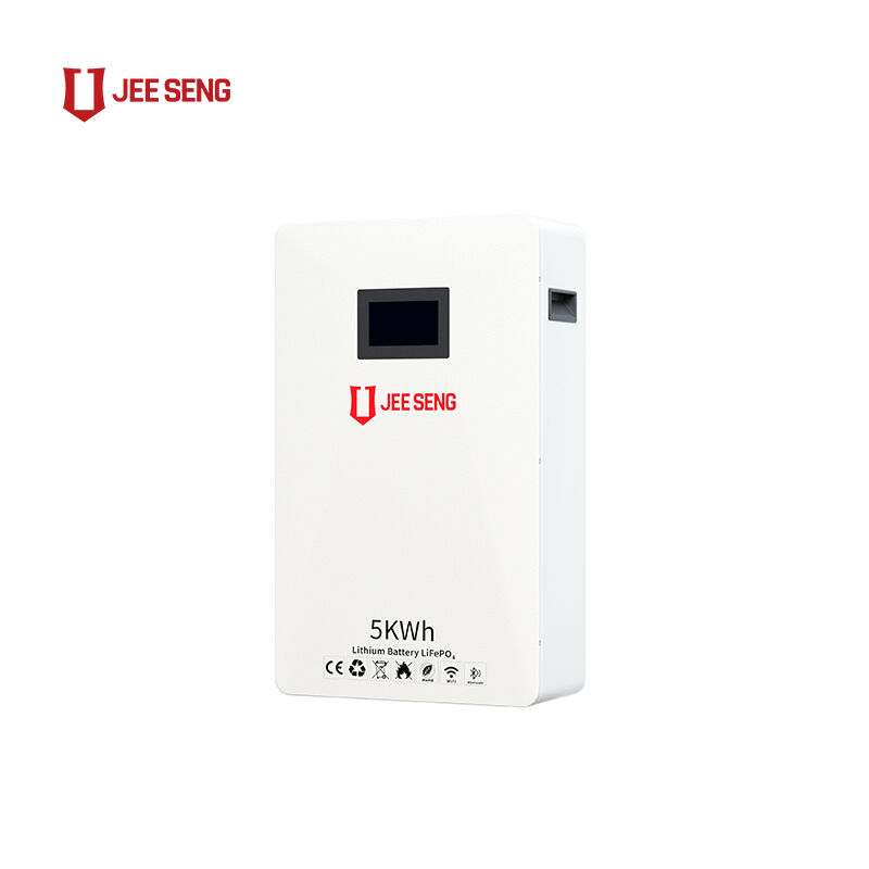 5KWh 가정용 벽에 장착된 에너지 저장 시스템