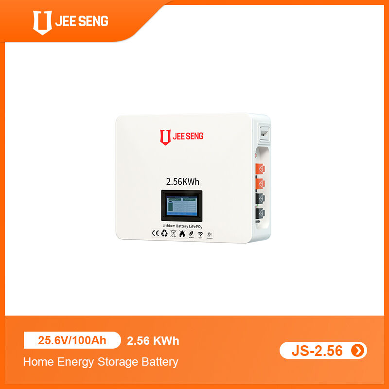 2.56KWh 가정용 벽에 장착된 에너지 저장 시스템