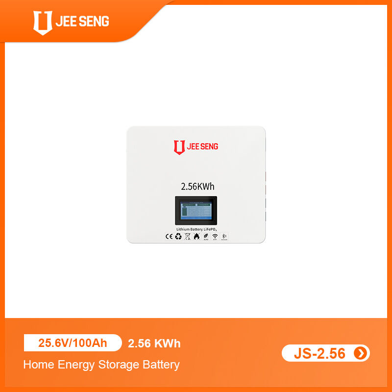 2.56KWh 가정용 벽에 장착된 에너지 저장 시스템