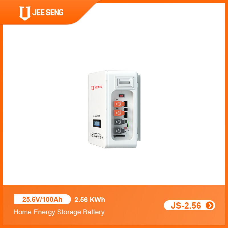 2.56KWh 가정용 벽에 장착된 에너지 저장 시스템