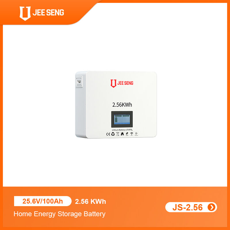 2.56KWh 가정용 벽에 장착된 에너지 저장 시스템