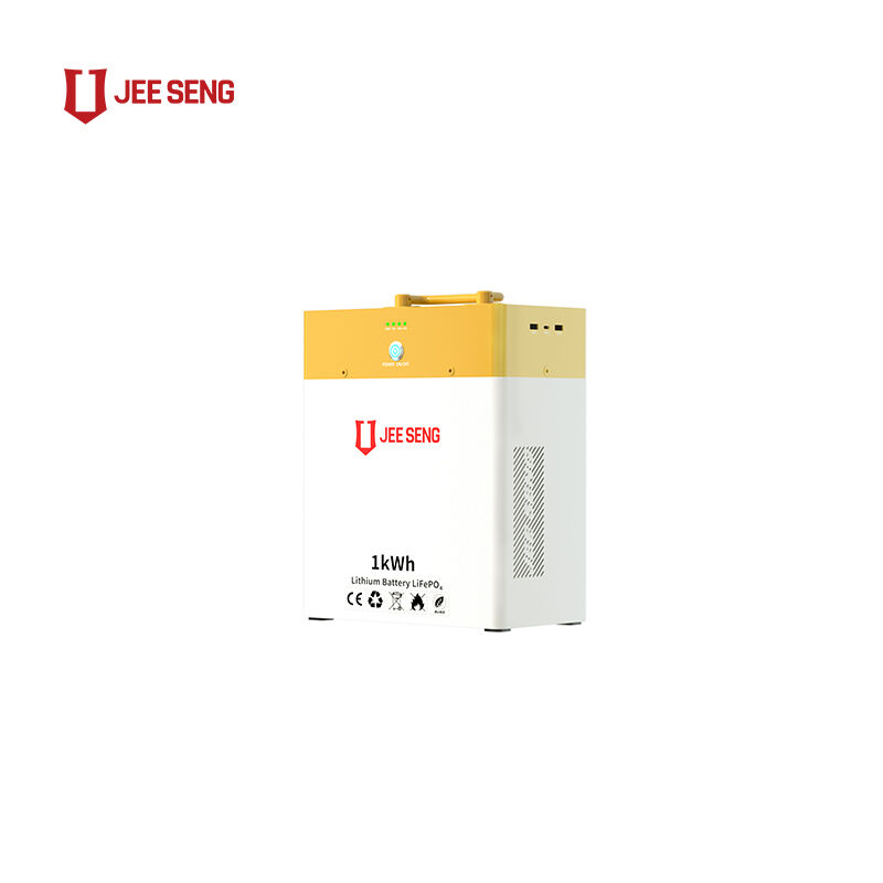 새로운 디자인 1KWH 휴대용 전력 에너지 저장 리?? 배터리 큰 파워뱅크 사용하기 쉽습니다